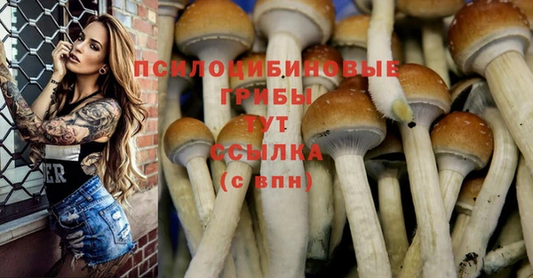 амф Алексеевка
